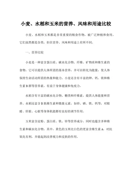小麦、水稻和玉米的营养、风味和用途比较