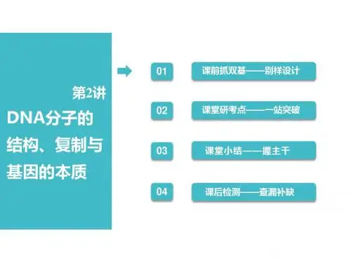 2019届 一轮复习人教版 DNA分子的结构、复制与基因的本质 课件
