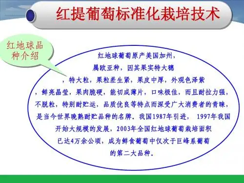 日光温室红提葡萄延后栽培技术(一)