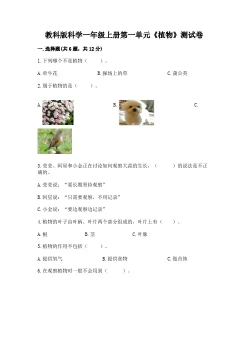教科版科学一年级上册第一单元《植物》测试卷附参考答案(实用)