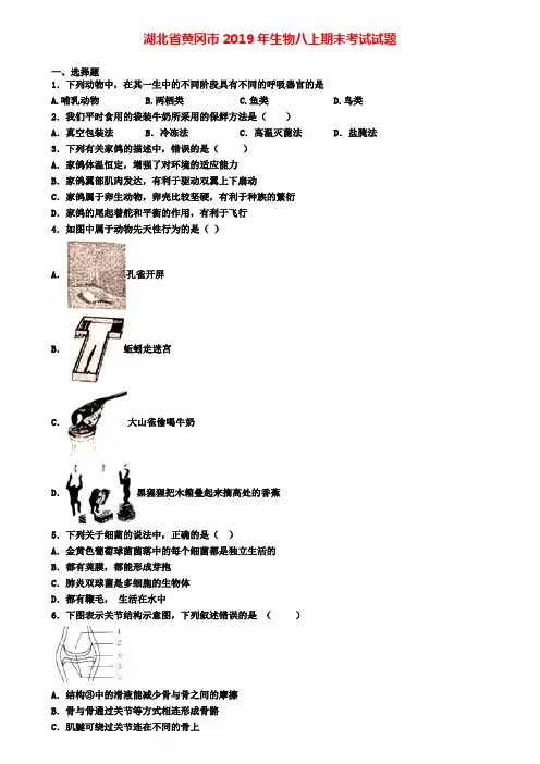 湖北省黄冈市2019年生物八上期末考试试题