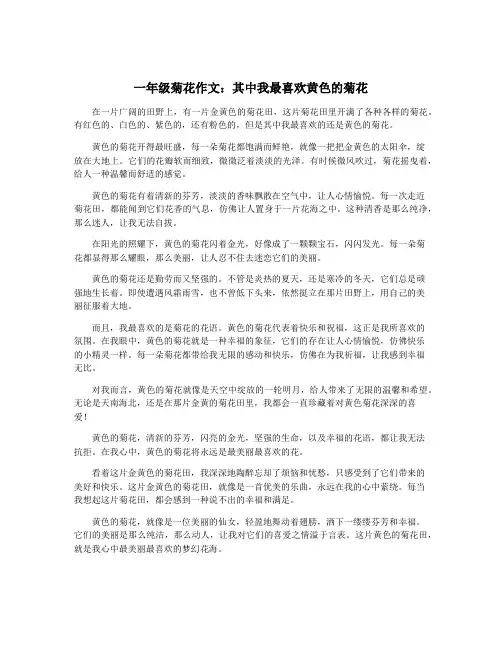 一年级菊花作文：其中我最喜欢黄色的菊花
