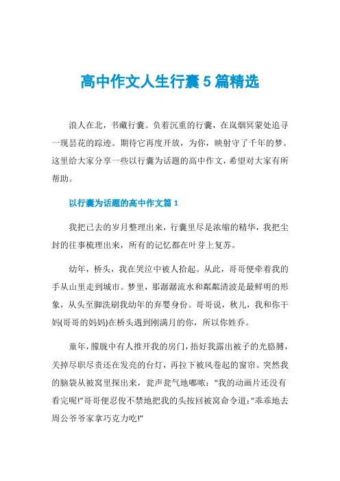 高中作文人生行囊5篇精选