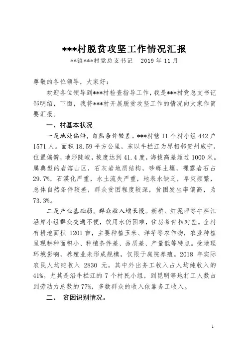 村脱贫攻坚工作汇报 2