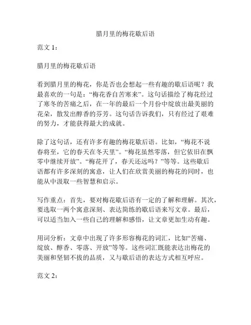 腊月里的梅花歇后语