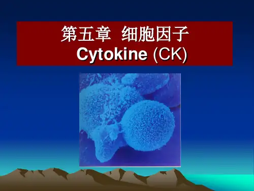 06第六章-细胞因子