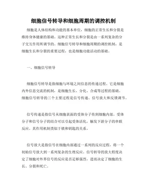 细胞信号转导和细胞周期的调控机制