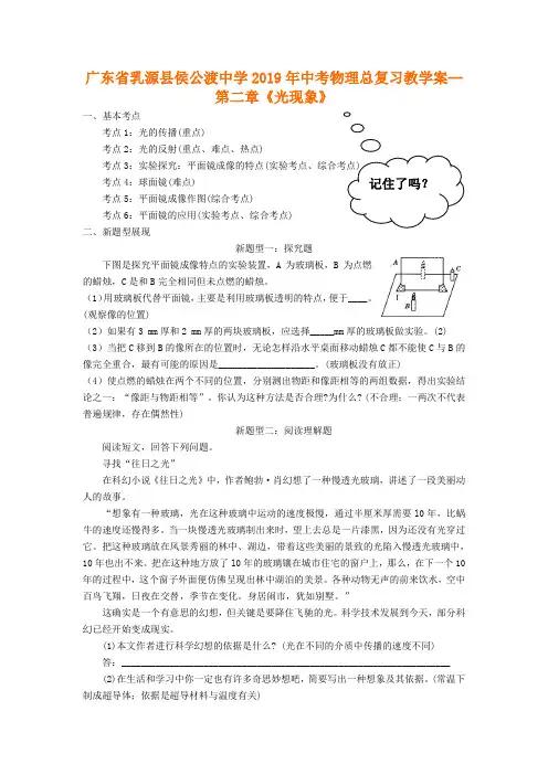 中考物理一轮总复习教学案：第2章《光现象》
