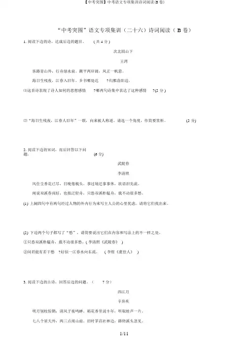 【中考突围】中考语文专项集训诗词阅读(B卷)