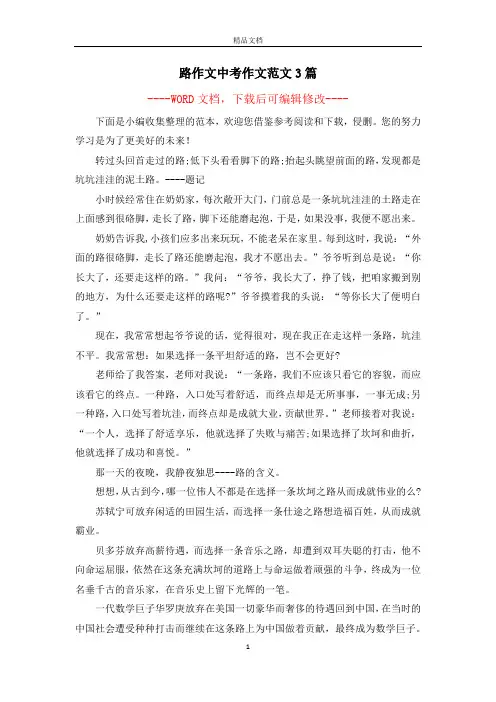 路作文中考作文范文3篇