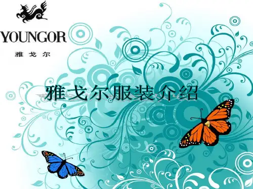 雅戈尔产品介绍