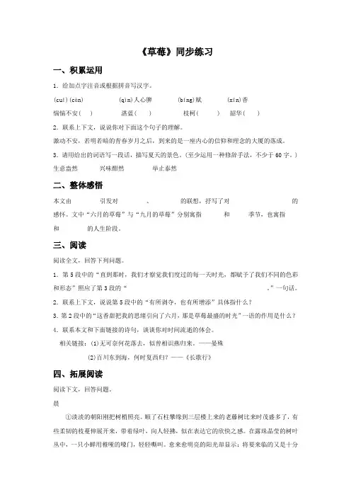 高中语文北师大版必修1 2.6《草莓》同步练习