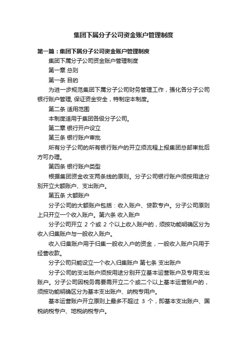 集团下属分子公司资金账户管理制度