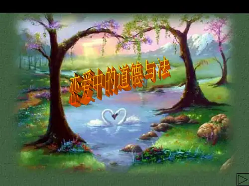 恋爱中道德法