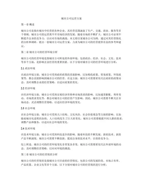 城市公司运营方案