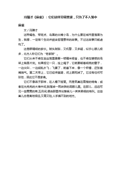 冯骥才《麻雀》：它们这样劳碌奔波，只为了不入笼中