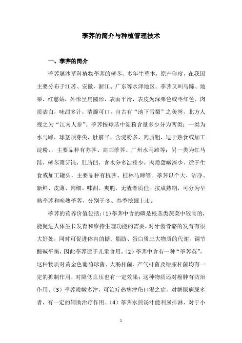 荸荠的简介与种植管理技术