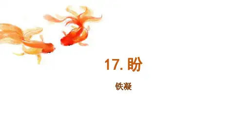 最新统编人教版六年级语文上册《盼》精品教学课件