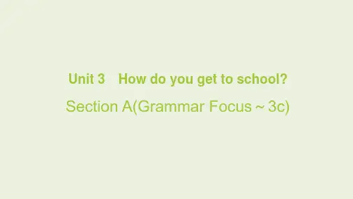 Unit+3 Section+A(Grammar+Focus～3c) 人教版英语七年级下册