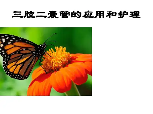 三腔二囊管的应用和护理