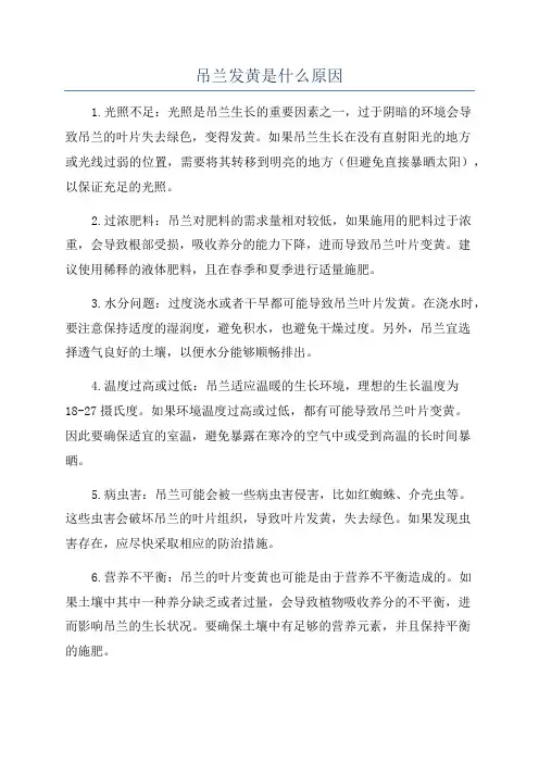 吊兰发黄是什么原因