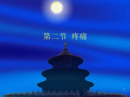疼痛ppt课件
