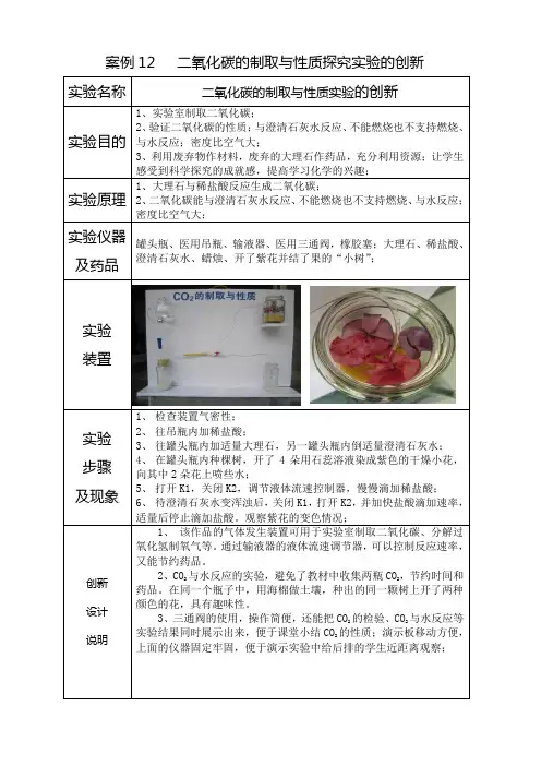 案例12   二氧化碳的制取与性质探究实验的创新