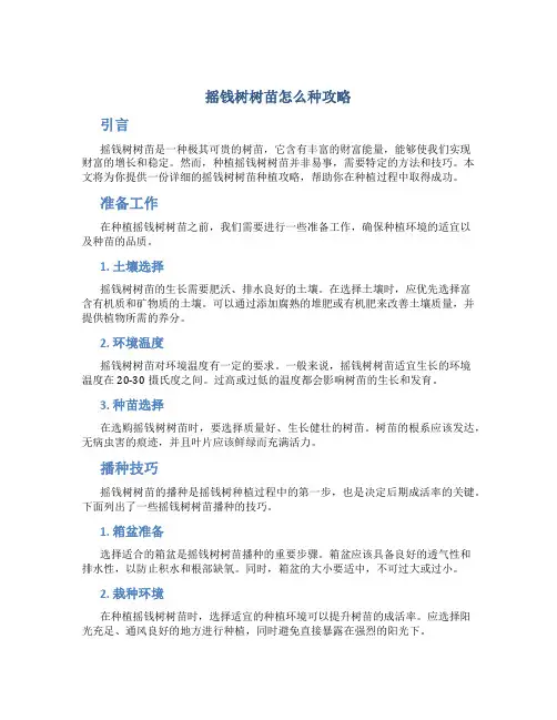 摇钱树树苗怎么种攻略