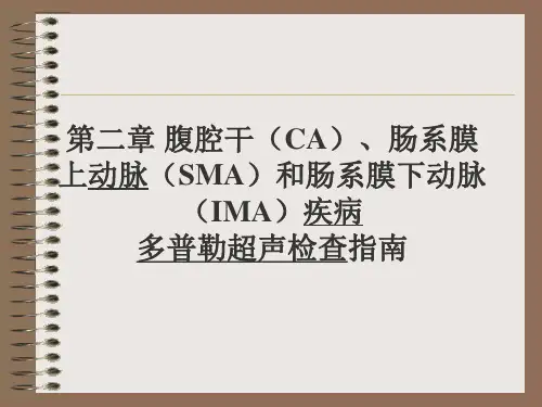 第二章腹腔干肠系膜上动脉和肠系膜下动脉疾病PPT课件