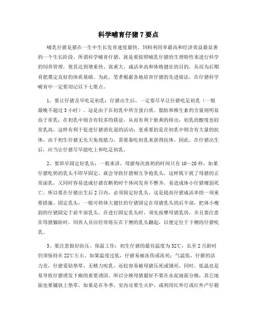 科学哺育仔猪7要点
