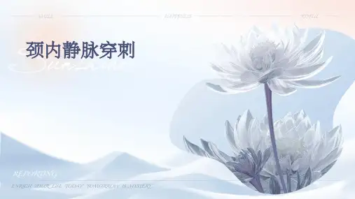 颈内静脉穿刺