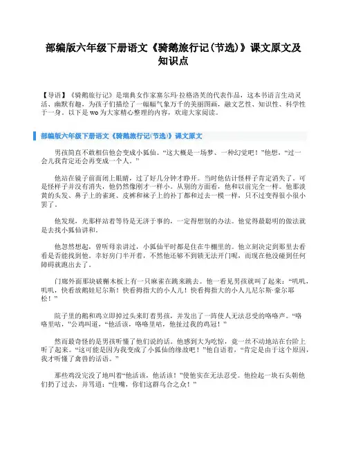 部编版六年级下册语文《骑鹅旅行记(节选)》课文原文及知识点
