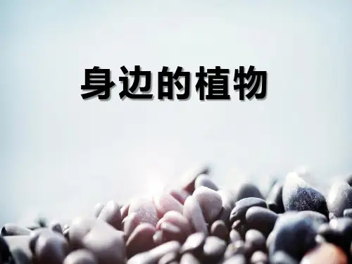 《身边的植物》身边的动植物(最新)ppt
