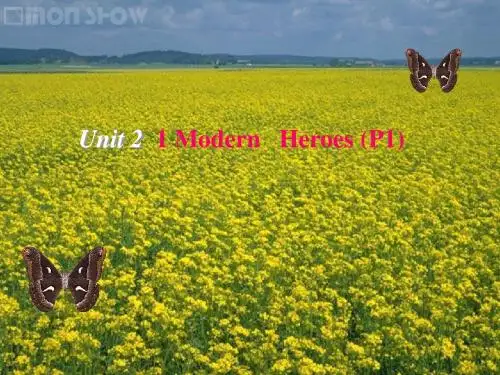高中英语2.1《Heroes》课件北师大版必修1