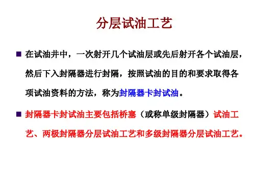 分层试油工艺