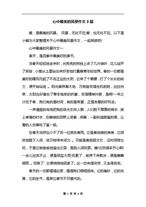 心中最美的风景作文3篇