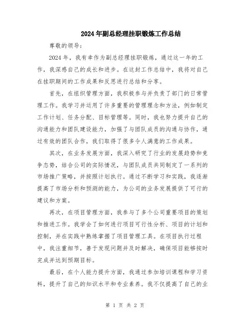 2024年副总经理挂职锻炼工作总结