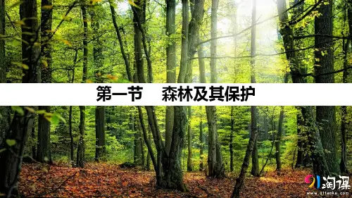 课件8：4.1 森林及其保护