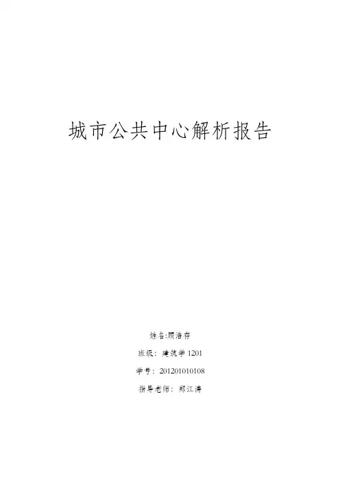公共中心(上海南京路步行街)解析报告