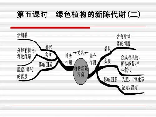中考复习5——绿色植物的新陈代谢(二)