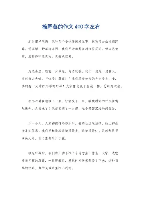 摘野莓的作文400字左右