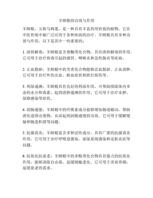 羊蹄根的功效与作用