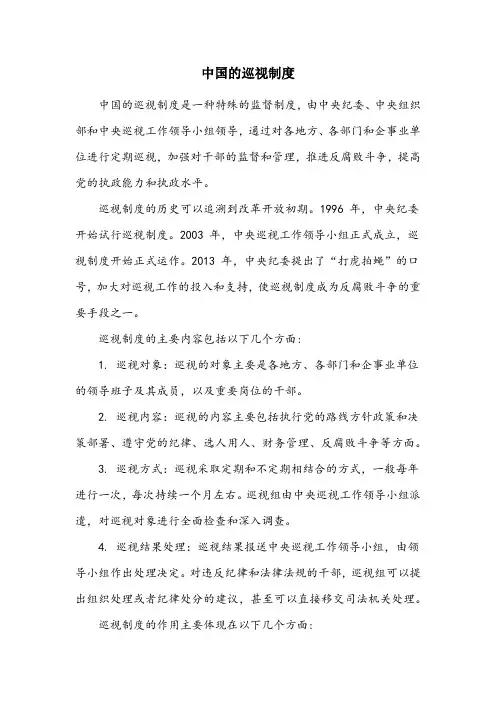名称解释巡视制度