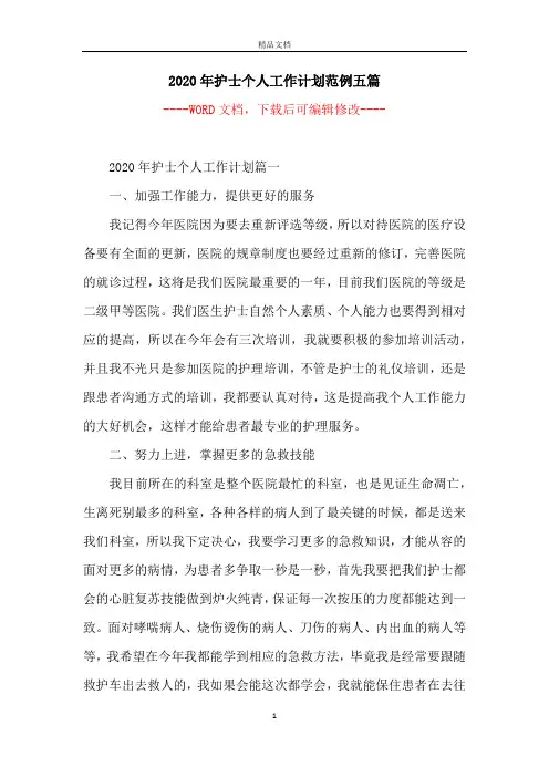 2020年护士个人工作计划范例五篇