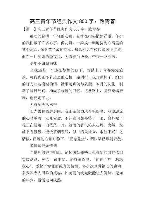 高三青年节经典作文800字：致青春