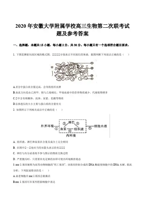 2020年安徽大学附属学校高三生物第二次联考试题及参考答案