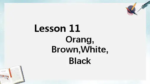 2019-2020年冀教版三年级英语上册 Lesson 12 orange, brown, white, black  教学课件