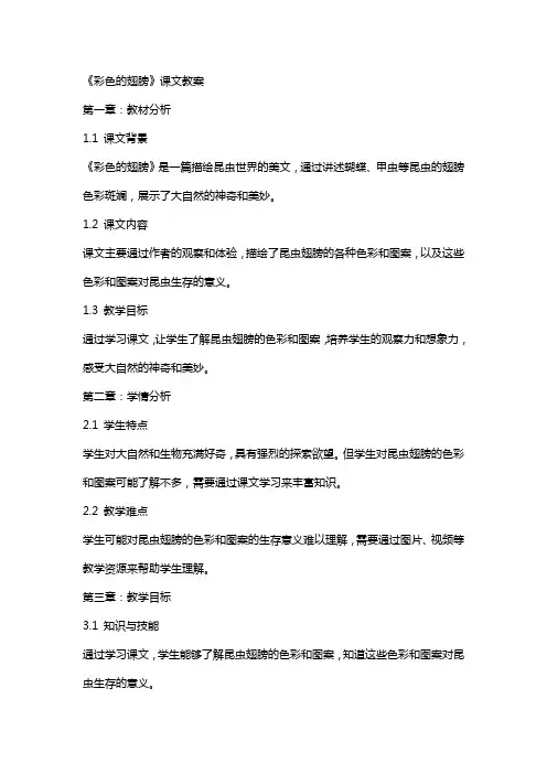 《彩色的翅膀》课文教案
