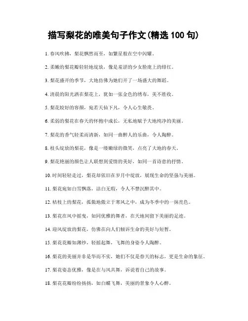 描写梨花的唯美句子作文(精选100句)