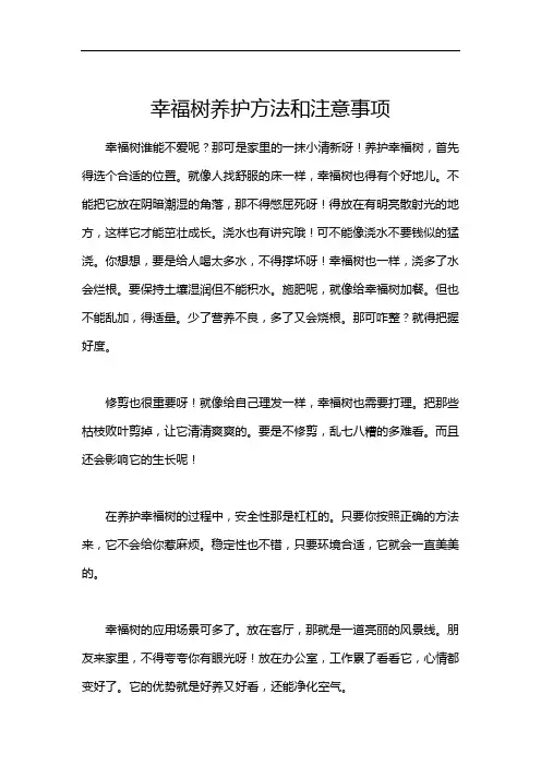 幸福树养护方法和注意事项